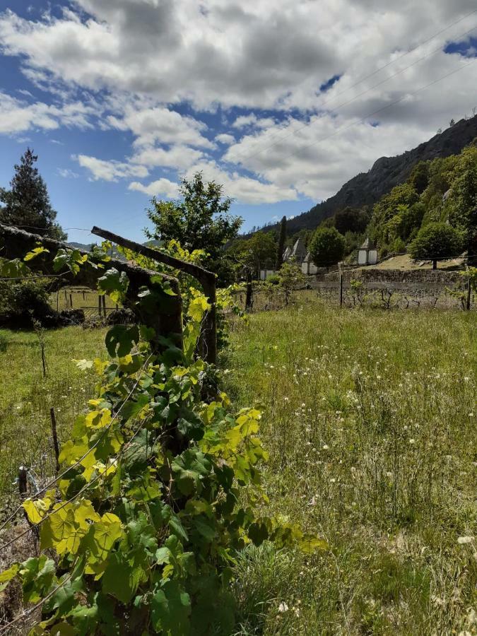 Penedino Mountain Cottage 阿尔库什迪瓦尔德维什 外观 照片